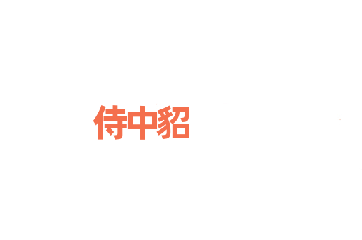 侍中貂