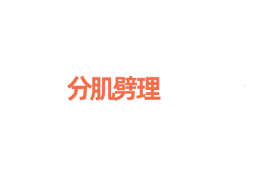 分肌劈理