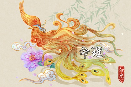 2002年04月27日的人命好吗 这天的孩子命好吗