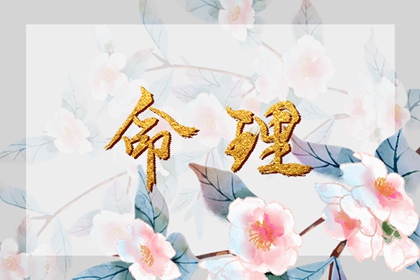2002年08月15日的人命好吗 这天的孩子命好吗