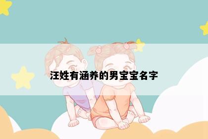 汪姓有涵养的男宝宝名字